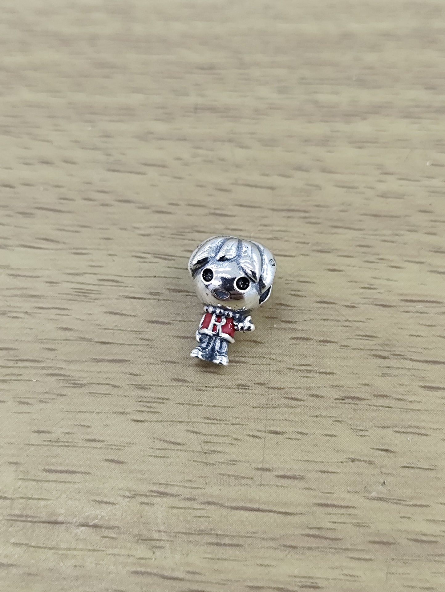 TMPCH047 Dije Charm Pand Harry Potter Ron Weasley en Plata Fina .925