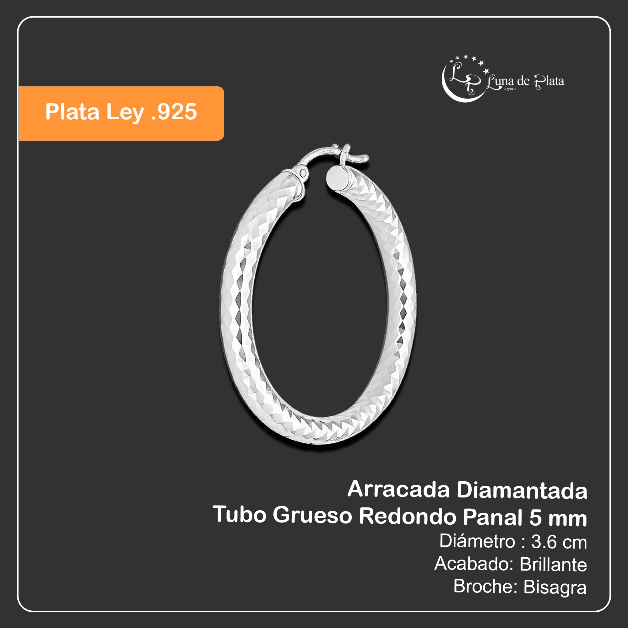 LPADI034 Arracada Diamantada Tubo Grueso Redondo Panal 5 mm 3.6 cm de Diámetro en Plata .925 5385002200